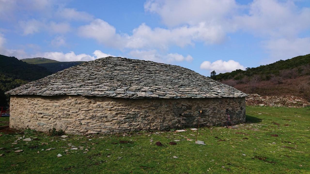 Ferienwohnung A Tana Di A Volpe Ville-di-Pietrabugno Exterior foto