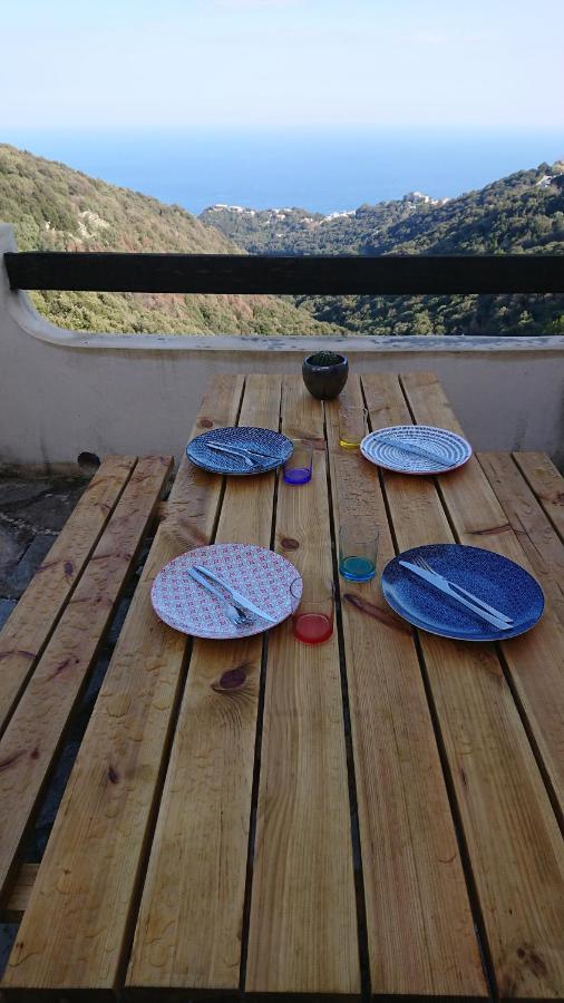 Ferienwohnung A Tana Di A Volpe Ville-di-Pietrabugno Exterior foto