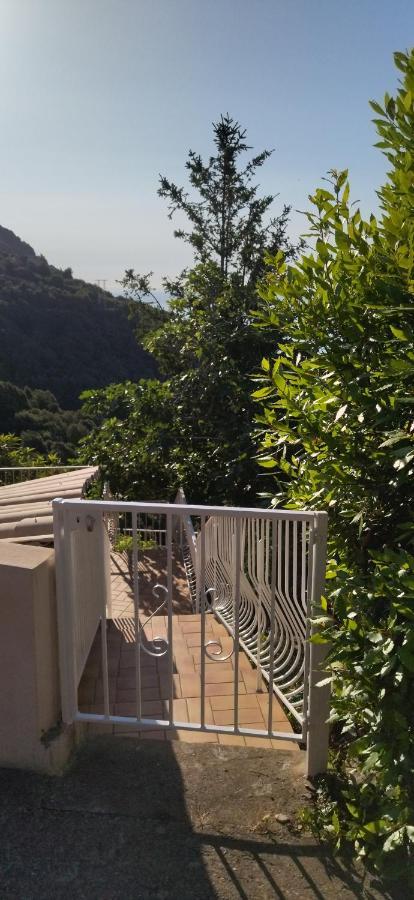 Ferienwohnung A Tana Di A Volpe Ville-di-Pietrabugno Exterior foto